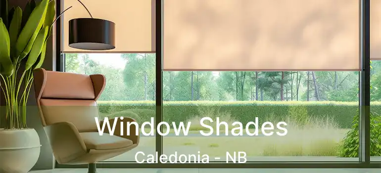  Window Shades Caledonia - NB