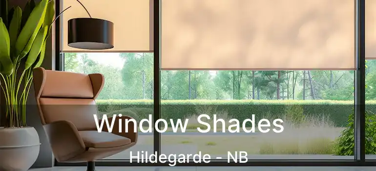  Window Shades Hildegarde - NB