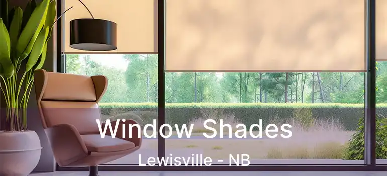  Window Shades Lewisville - NB
