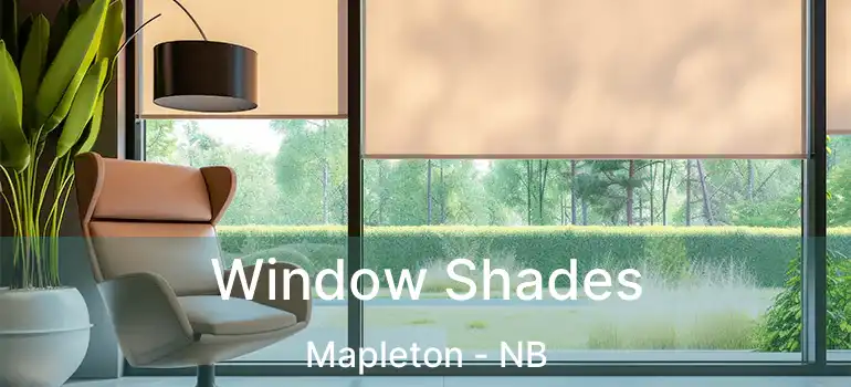  Window Shades Mapleton - NB