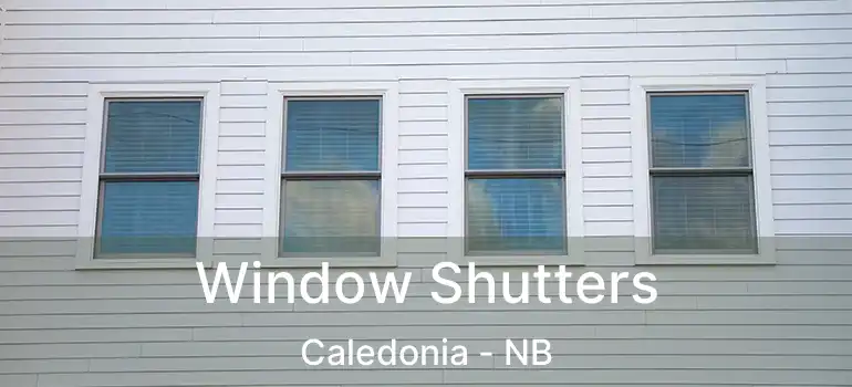  Window Shutters Caledonia - NB