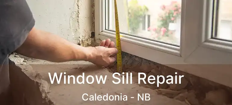  Window Sill Repair Caledonia - NB