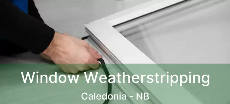  Window Weatherstripping Caledonia - NB