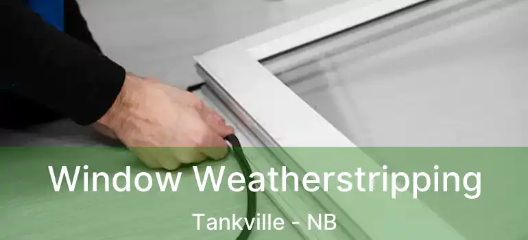  Window Weatherstripping Tankville - NB