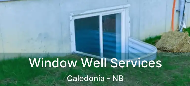  Window Well Services Caledonia - NB