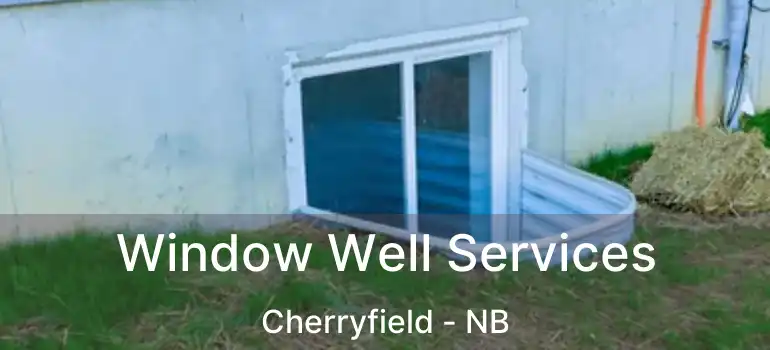  Window Well Services Cherryfield - NB